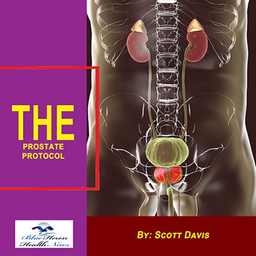 The Prostate Protocol PDF Download