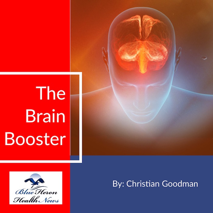 The Brain Booster PDF eBook